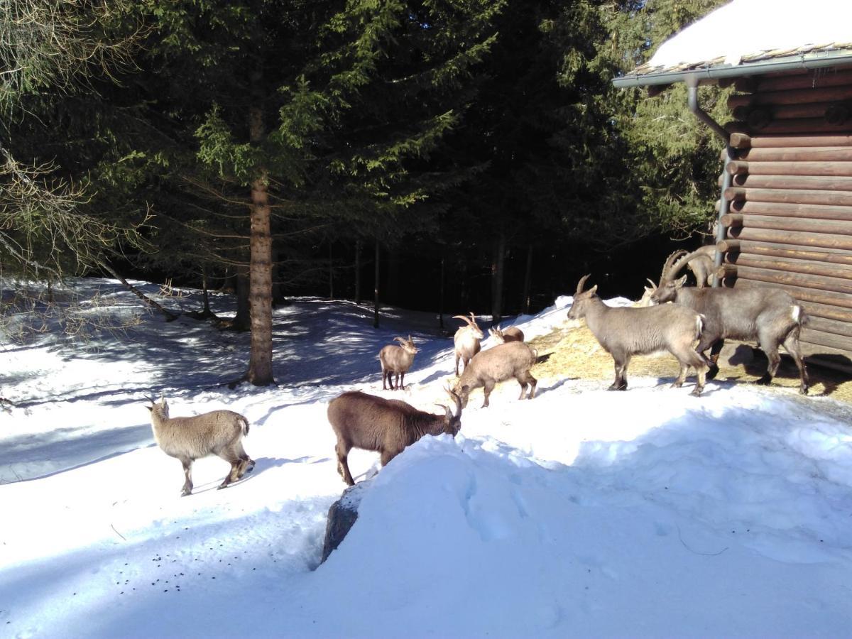 Bed & , Corte Rossa -1 Min Walk To Bernina Express 2* Tirano