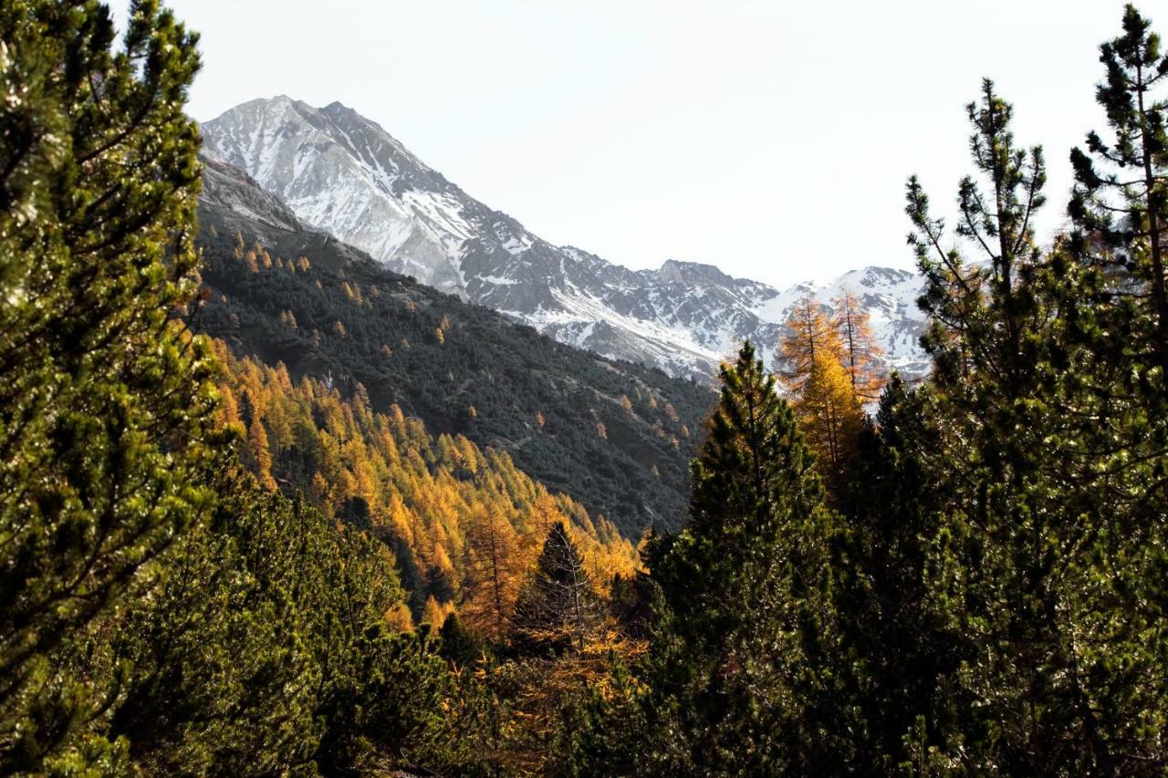 Bed & , Corte Rossa -1 Min Walk To Bernina Express 2*